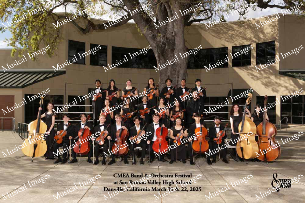 Musical Images